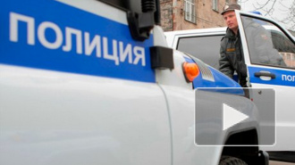 В Ленинградской области из окна полицейского участка выпал свидетель по делу об убийстве