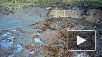 Видео: во Владимирской области целое озеро с рыбой и водорослями ушло под землю
