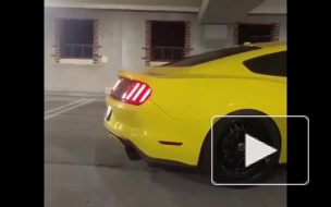 Власти уговаривают петербуржцев отказаться от автомобилей