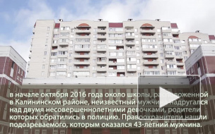 В Петербурге задержали подозреваемого в совращении школьниц