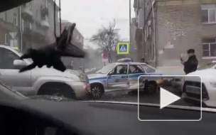 На набережной Черной речки легковушка протаранила машину полиции
