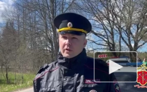 Женщина-водитель погибла в аварии под Гатчиной