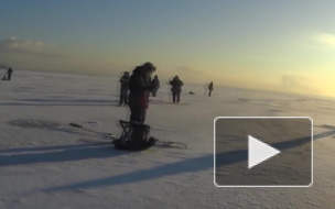 Спасатели вызволили двух рыбаков из ледового плена на Финском заливе