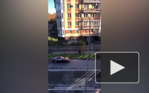 Появилось видео задержания стрелка в Приморском районе
