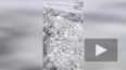 Петербуржцы заметили в Финском заливе снежные "пельмени"
