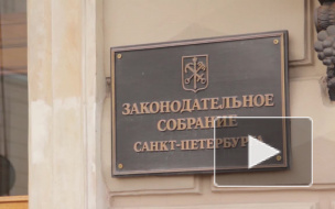 В ЗакСе утвердили корректировки в бюджет Петербурга на 2017 год