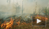 В Сибири лесных пожаров стало еще больше