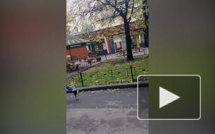 Посетителей "Макдональдса" на Московском проспекте эвакуировали