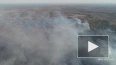 Площадь торфяного пожара в Костромской области превысила ...