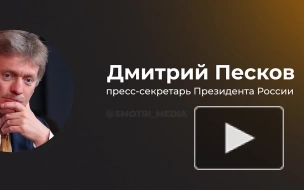 Песков затруднился сказать, будет ли изменен статус СВО из-за ситуации в Брянской области