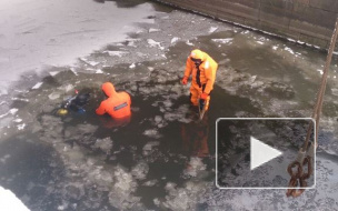 В ДТП под Петербургом шесть человек погибли страшной смертью