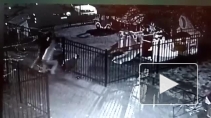 Ужасающее избиение молотками бизнесмена на Большой Пушкарской зафиксировали на видео камеры наблюдения
