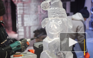 В Петропавловской крепости появились ледяные джунгли и Алые паруса