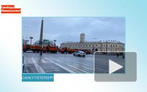 Штаб Навального объявил новое место сбора для участников несанкционированной протестной акции в Петербурге