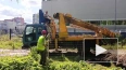В историческом районе "Пороховые" начали устанавливать ...