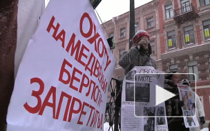 Разошлись во взглядах. Защитники животных на митинге против охоты застращали  защитницу  людей