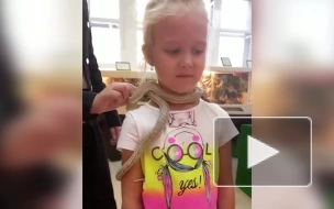 В Екатеринбурге в контактном зоопарке змея укусила пятилетнюю девочку 