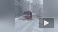 За сутки дорожники Ленобласти очистили от снега почти ...