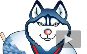 Официальным символом чемпионата мира по хоккею 2016 стала лайка