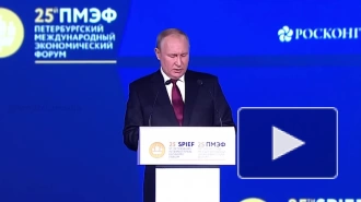 Путин считает, что ситуация в Европе приведет к всплеску радикализма и затем к смене элит