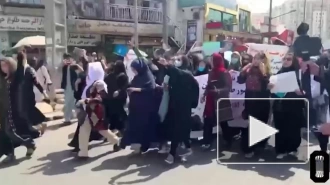 Разгон женской демонстрации со стрельбой в Афганистане попал на видео