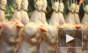 В исправительные колонии семи регионов РФ поставили наполненную гелем курятину