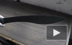 Банда подростков-изуверов зарубила юного мигранта мачете в Петербурге