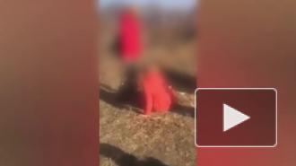 В Приморье проверяют видео с публичным избиением школьницы сверстницей