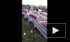 Видео: под Харьковом перевернулся грузовик со свиньями, звери разбежались