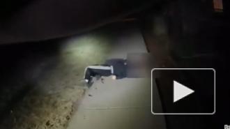 В США опубликовали видео стрельбы полицейских по 13-летнему мальчику с аутизмом