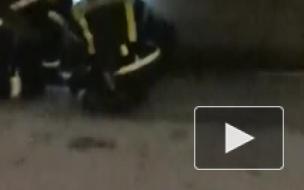 Пожарные спасли кошку в Рождество у Спаса на Крови