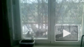 Поможем птицам выжить 