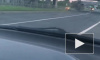 Porsche "взлетел" на Выборгском шоссе