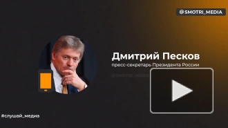 Песков: в Кремле известно о финансовых ограничениях турецких банков на транзакции с Россией