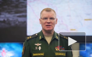 Минобороны РФ: российские войска уничтожили более 40 украинских военных при освобождении Андреевки