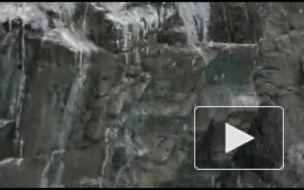 Хвать за жопу)