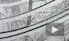 В Петербурге ожидается сильный снегопад