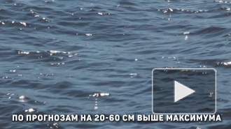 В Смольном обсудили готовность к ЧС, лесным пожарам и половодью