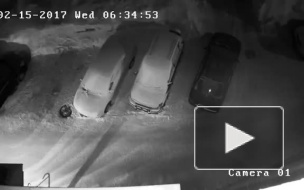 Жуткое видео убийства из Новосибирска опубликовали в интернете (18+)