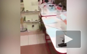 В петербургском гипермаркете покупателям предложили самостоятельно сделать себе маску