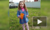 В Псковской области пропала трехлетняя девочка