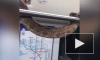 Росприроднадзор вынес предупреждение петербуржцу, который ехал со змеей в метро