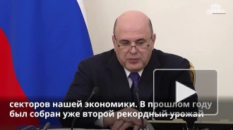 Правительство направит 5 млрд рублей на поддержку программы льготного кредитования сельхозпроизводителей