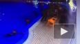 СК опубликовал видео с камер в бассейне Всеволожска, ...