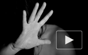 В Сосновой Поляне по горячим следам поймали извращенца, пристававшего к школьнице