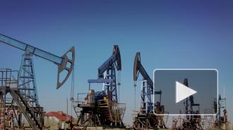 Стоимость Brent поднялась выше $45 за баррель