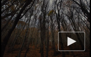 Вышел трейлер нового фильма про Гензеля и Гретель