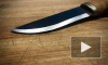 В Ульяновске 15-летний школьник едва не зарезал кухонным ножом учительницу