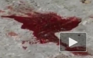 Пенсионер расстрелял своего соседа по коммуналке в центре Петербурга