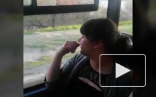  Забавное видео из Воронежа: в пробке пассажиры маршрутки поиграли "В города" и хором спели "Катюшу"